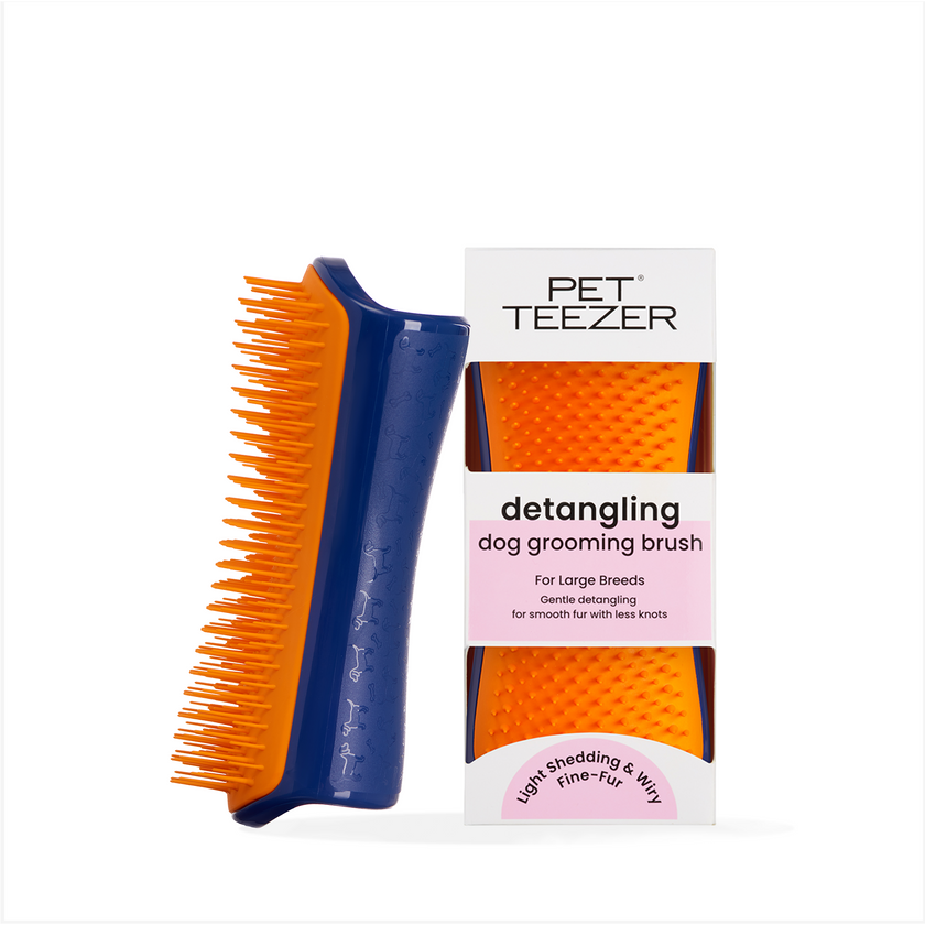 Detangling Dog Grooming Brush | T30214GP